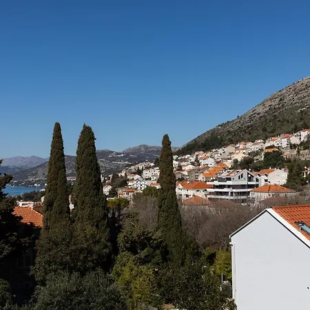 Apartman Falkoni *
